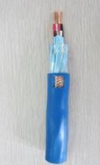 DJYPVP計算機電纜_IA-DJYP2VP2本安型計算機電纜